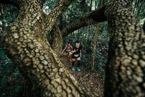 BIB: 
                            <button type="button" onclick="openModal(25392661)" class="btn btn-primary btn-sm float-right btn-popup" data-toggle="modal" data-target=".modal-high-quality">
                        <i class="fas fa-shopping-cart"></i> Add to Cart
                    </button>
                                            <button type="button" onclick="isThisMe(25392661, true)" class="btn btn-success btn-sm float-right btn-popup btn-isme hidden" data-toggle="tooltip" data-placement="bottom" title="นี่คือรูปของคุณใช่ไหม คลิกที่นี่เพื่อเอาเข้าอัลบั้ม">
                        <i class="fas fa-plus"></i> Add to album
                    </button>
                    <button type="button" onclick="isThisMe(25392661, false)" class="btn btn-warning btn-sm float-right btn-popup btn-isnotme hidden">
                        <i class="fas fa-ban"></i> Remove from album
                    </button>